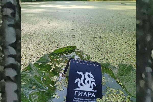 Кракен даркнет официальный сайт