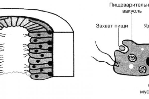 Ссылка на кракен kr2link co