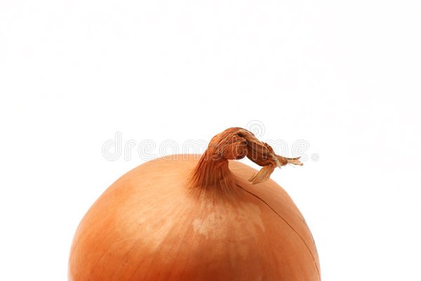 Kraken onion 2024