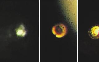 Hydrogen in the form of a metal.  A breakthrough in physics?  Solid metallic hydrogen may have become a reality.  Connections to other areas of physics